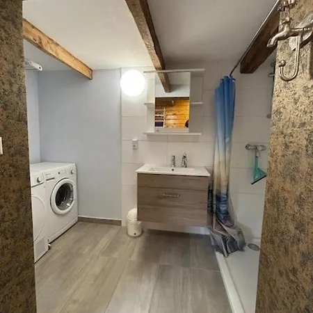 Daire Alte Tischlerei Mit Garten